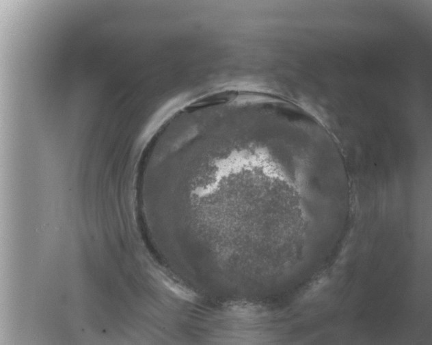 X0000080150199200612221958