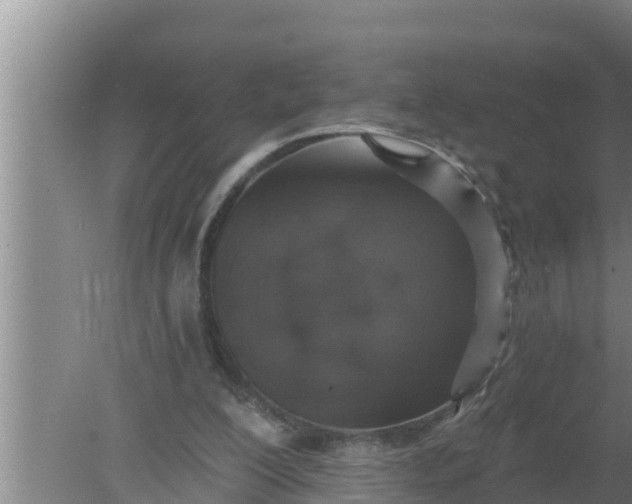 X0000080150200200612221958