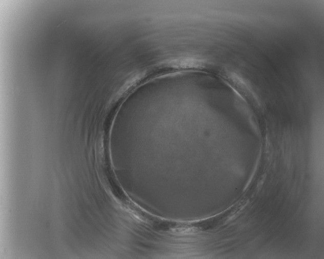 X0000080150202200612221958