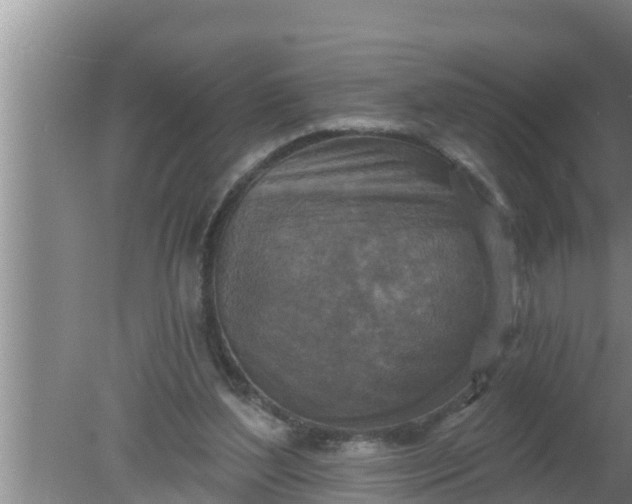 X0000080150204200612221957