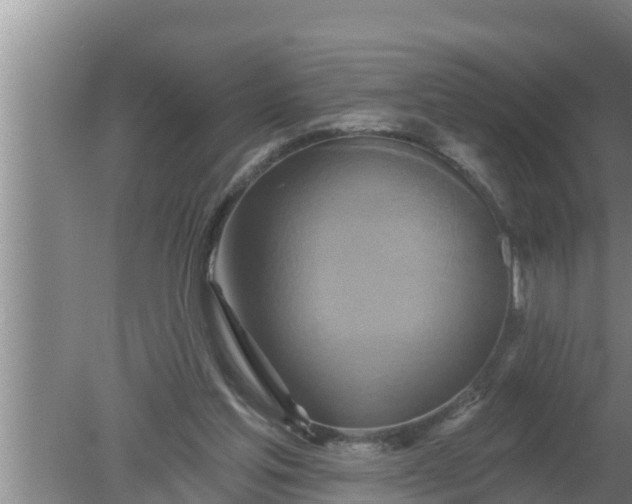 X0000080150205200612221957