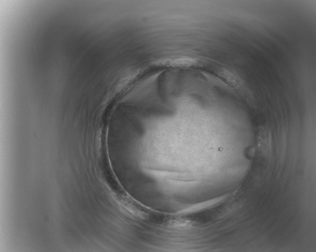 X0000080150206200612221957