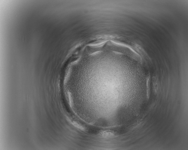 X0000080150207200612221957