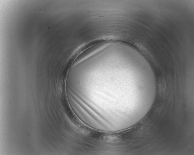 X0000080150208200612221957