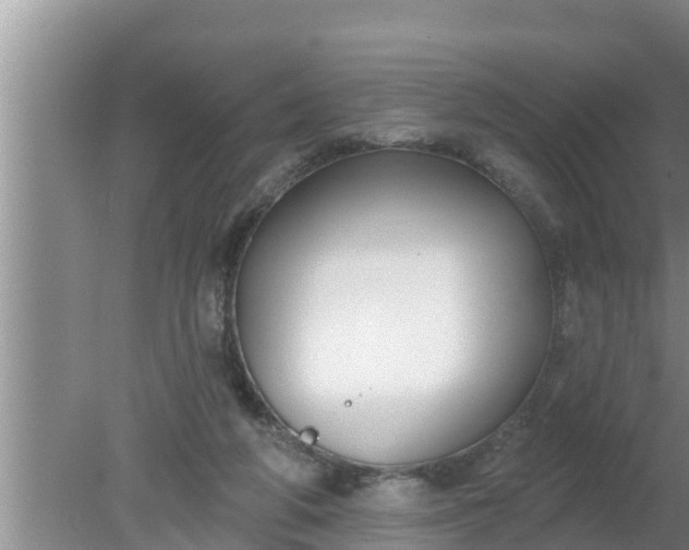 X0000080150210200612221957