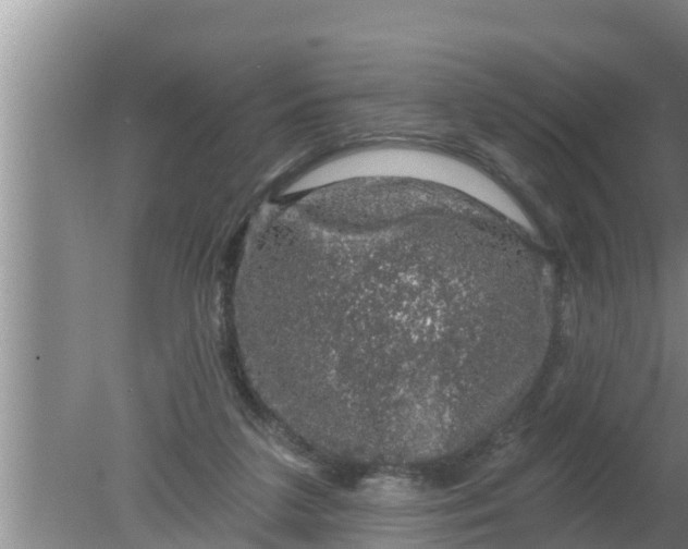 X0000080150211200612221957