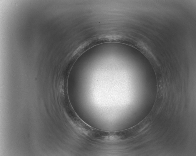 X0000080150212200612221957