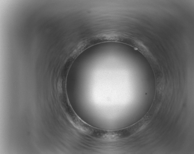 X0000080150213200612221957