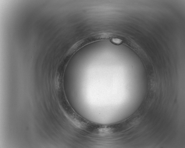 X0000080150216200612221957