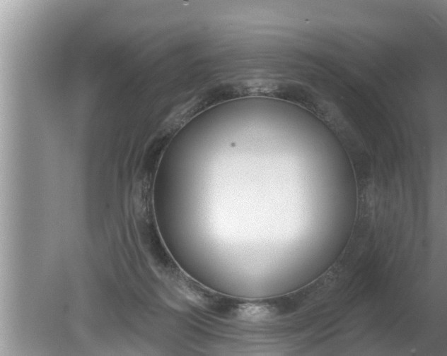 X0000080150218200612221957