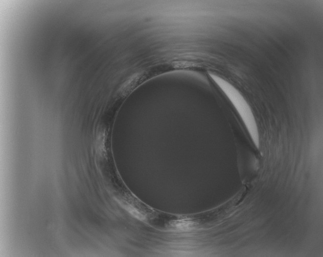 X0000080150219200612221957