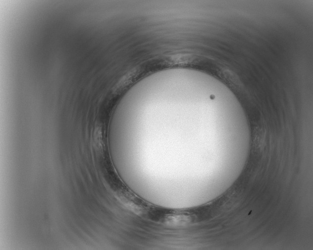 X0000080150220200612221957