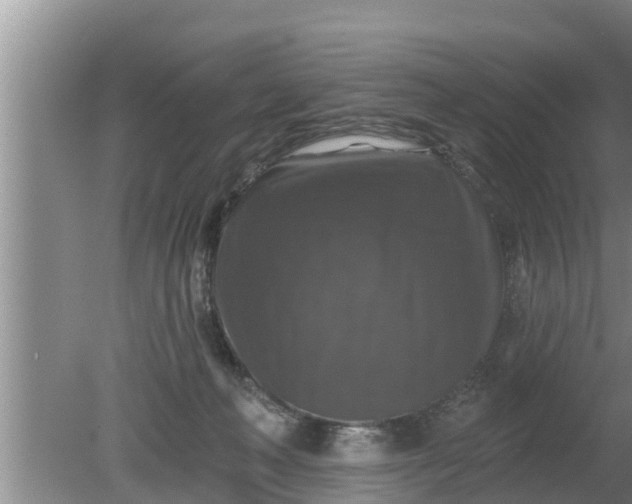 X0000080150222200612221957