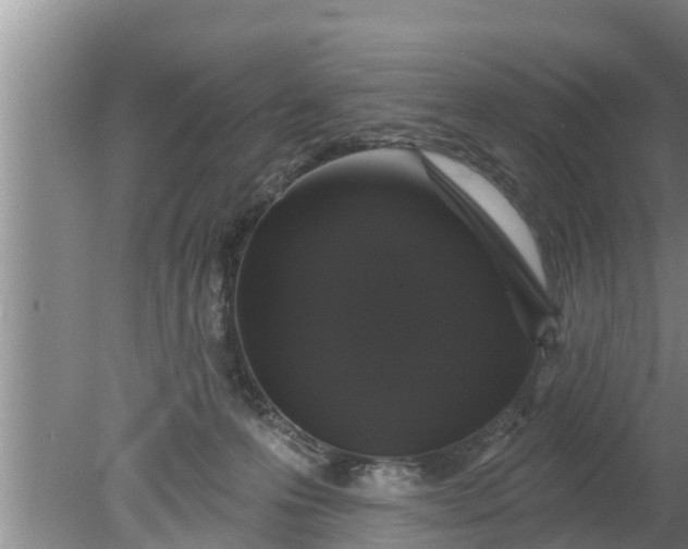 X0000080150223200612221957