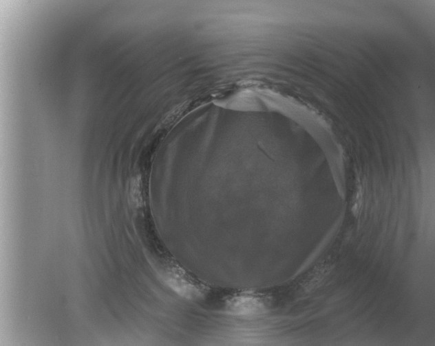 X0000080150224200612221957