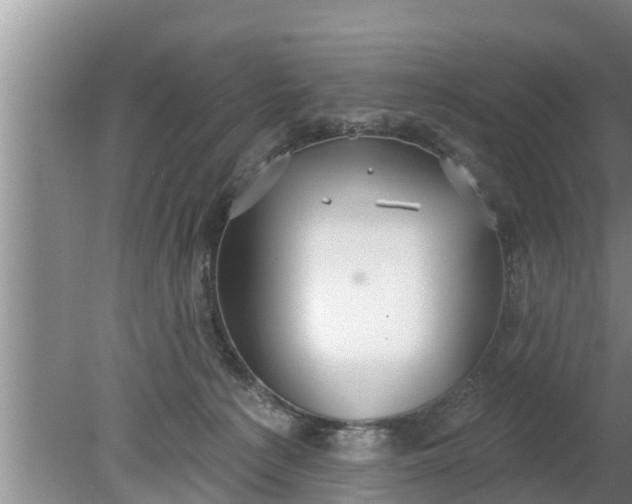 X0000080150225200612221957