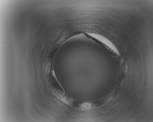 X0000080150227200612221957