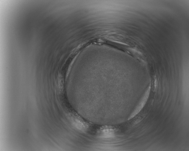 X0000080150228200612221957