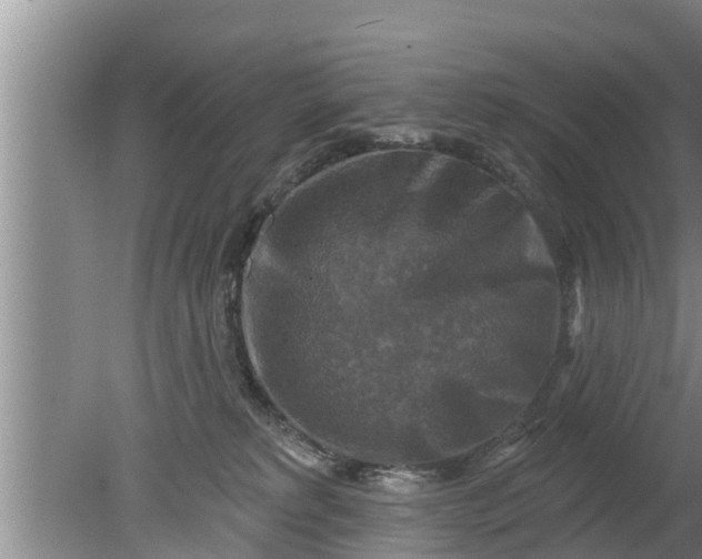 X0000080150229200612221957