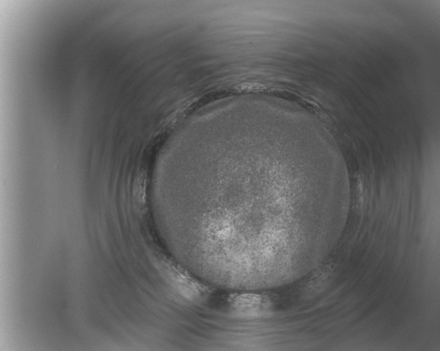 X0000080150230200612221957