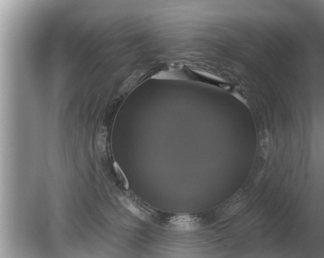 X0000080150231200612221957