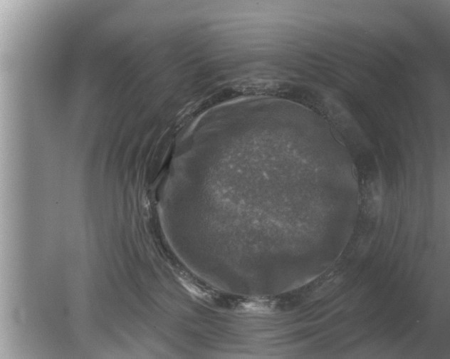 X0000080150232200612221957