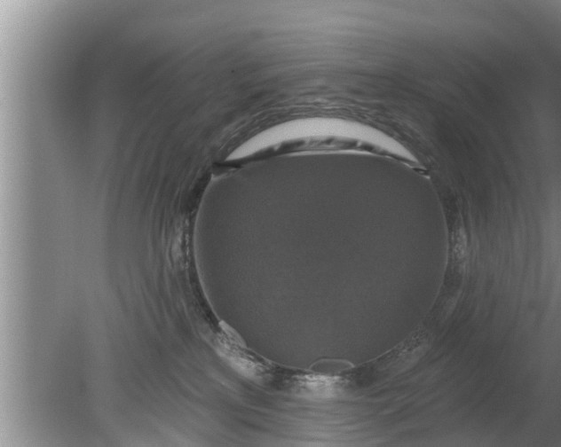 X0000080150233200612221957