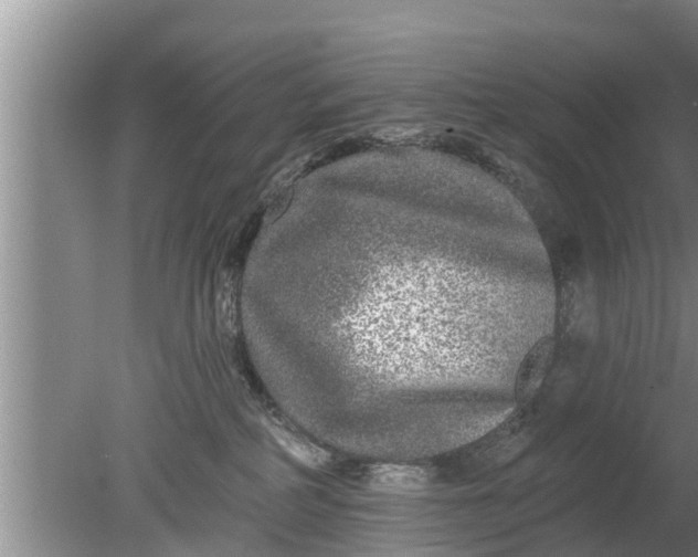 X0000080150234200612221957