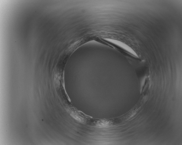 X0000080150235200612221957