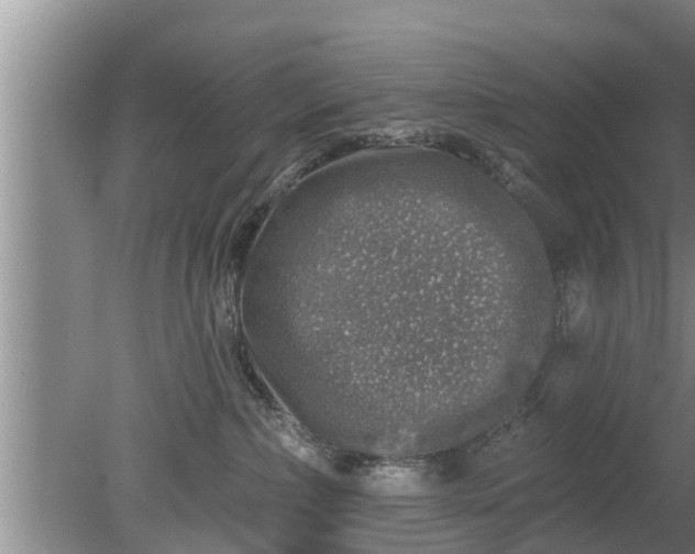 X0000080150236200612221957