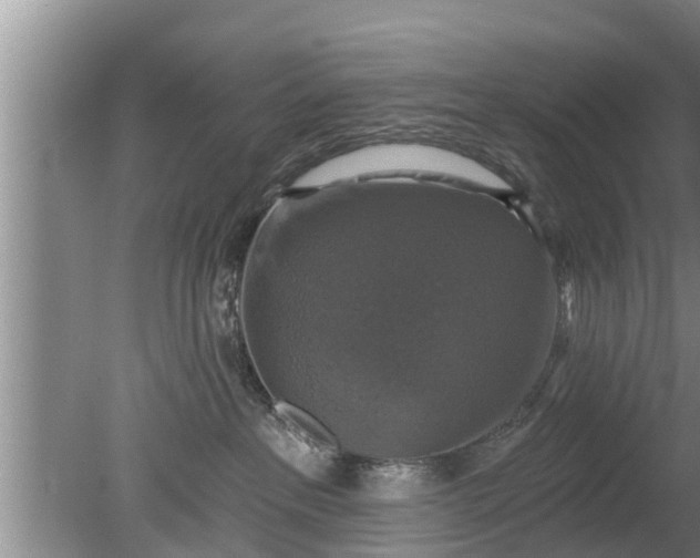 X0000080150237200612221957