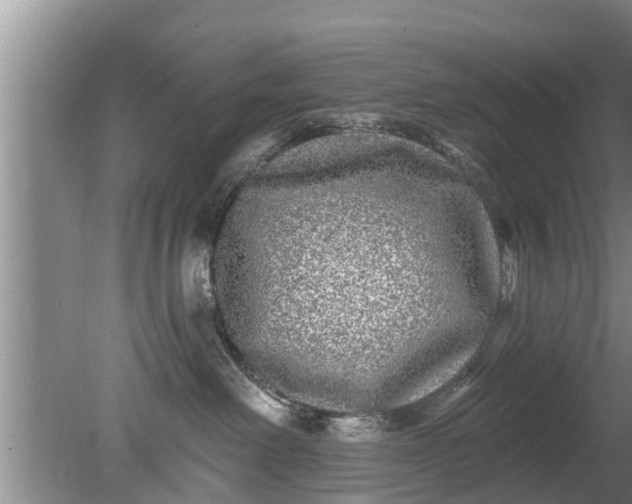 X0000080150238200612221957