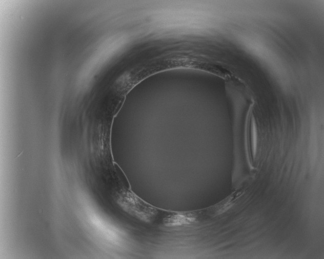 X0000080150239200612221957