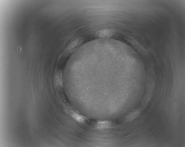 X0000080150240200612221957