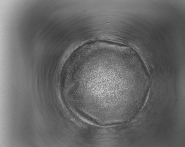 X0000080150241200612221956