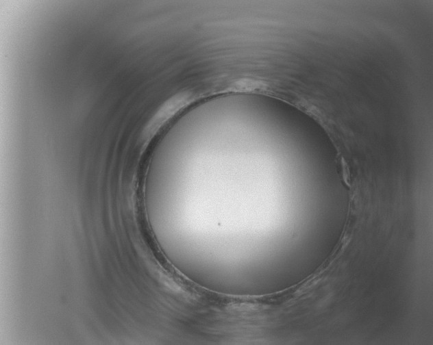 X0000080150242200612221956