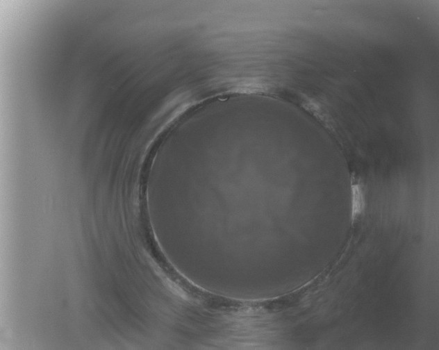 X0000080150243200612221956