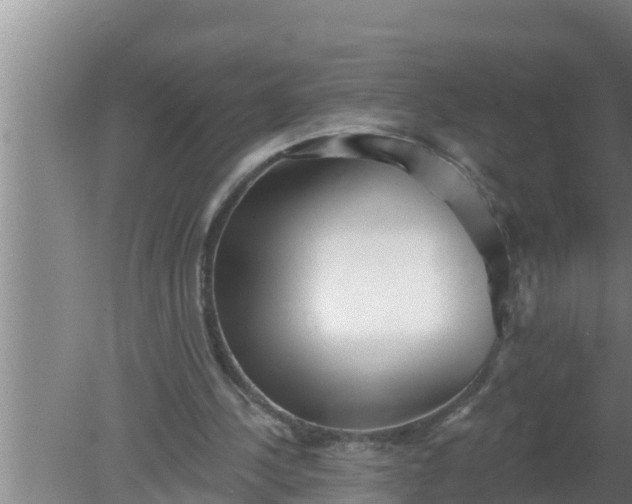 X0000080150244200612221956