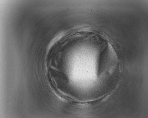 X0000080150245200612221956