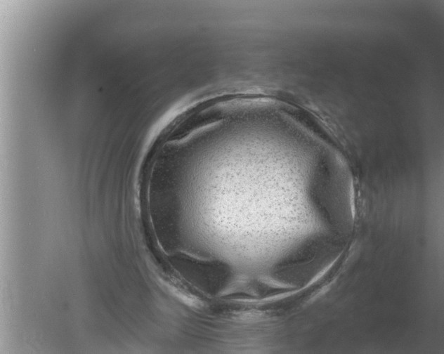 X0000080150246200612221956