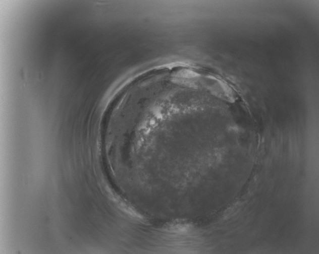 X0000080150247200612221956