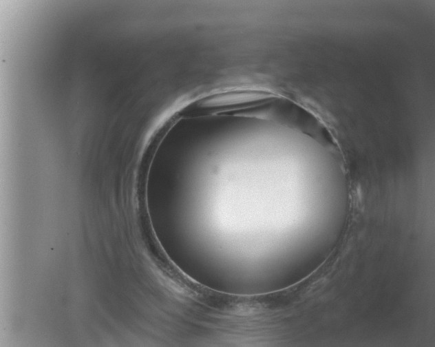 X0000080150248200612221956