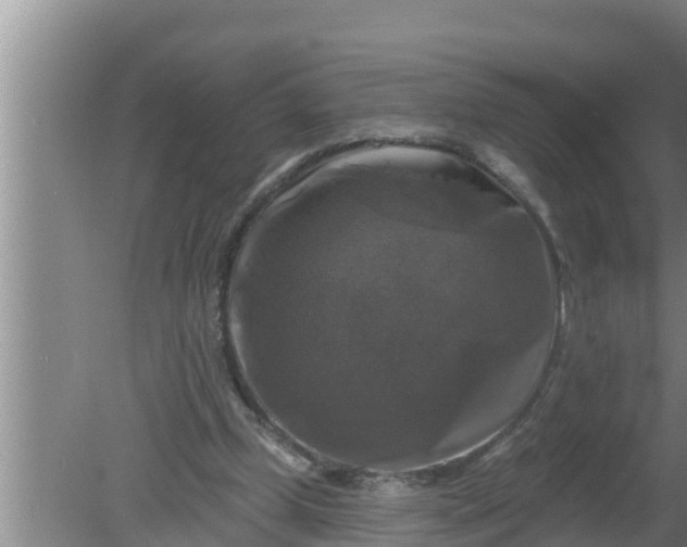 X0000080150249200612221956