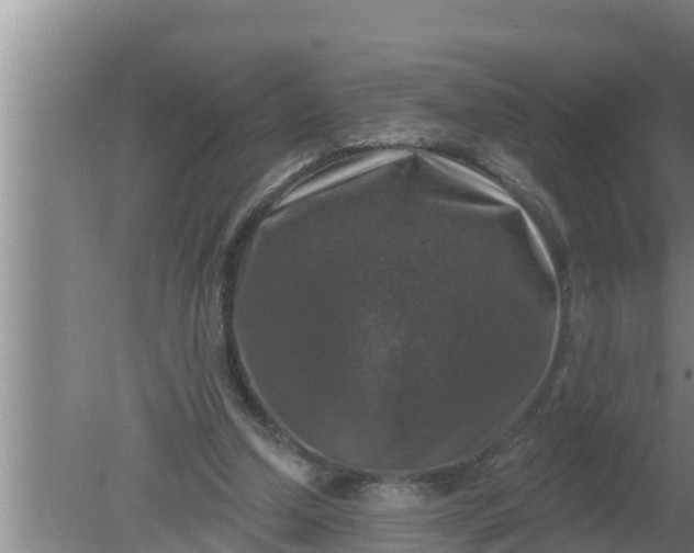 X0000080150250200612221956