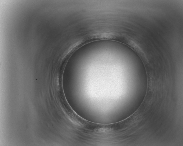 X0000080150251200612221956