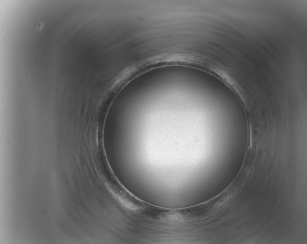 X0000080150253200612221956