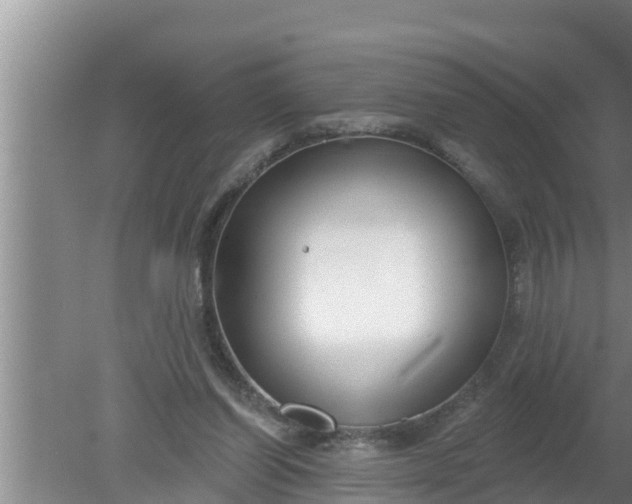 X0000080150254200612221956