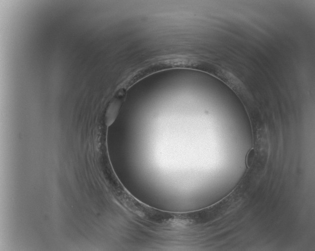 X0000080150255200612221956