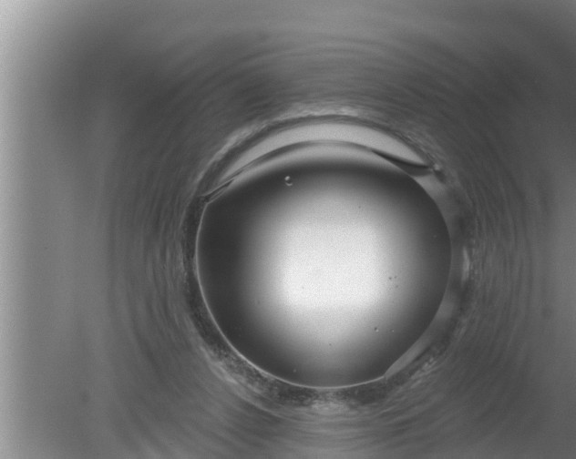 X0000080150256200612221956