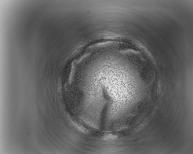 X0000080150257200612221956